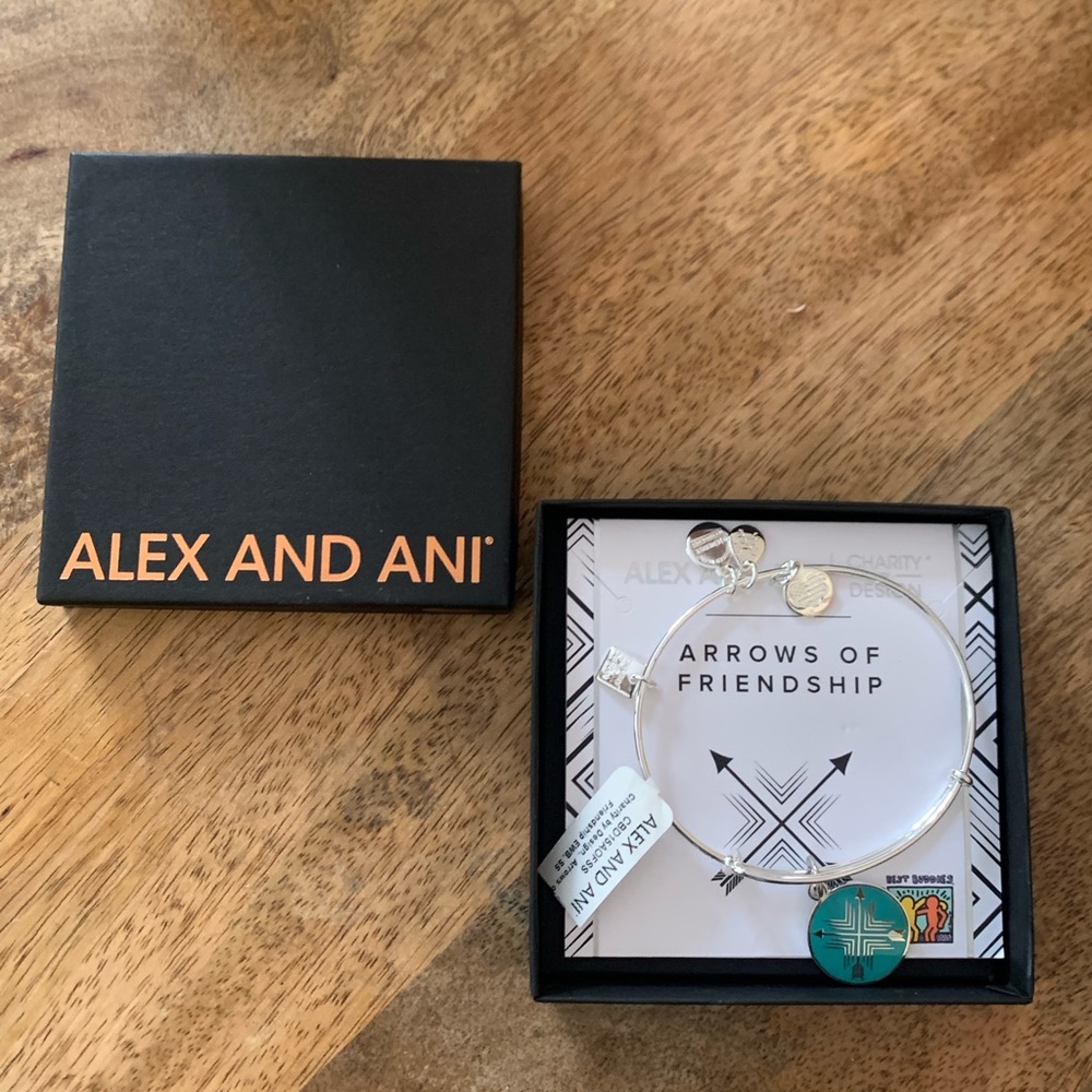 Alex & Ani Friendship Bracelet in Box